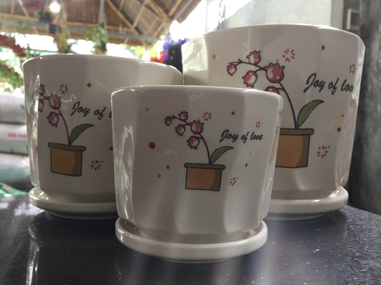 Bộ 3 chậu sứ tráng men cao cấp gắn dĩa trồng cây để bàn-mẫu 1