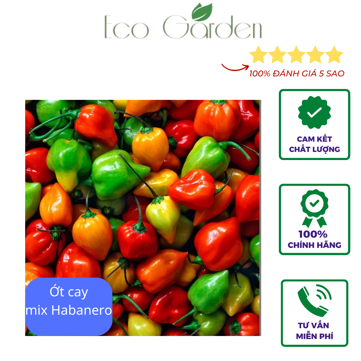 Hạt Giống Ớt Siêu Cay Habanero mix nhập Mỹ - Johnny's Seeds