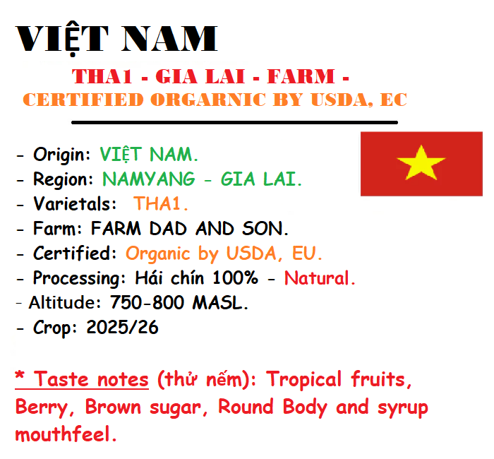 SPECIAL COFFEE - 500g HẠT (Gồm 2 TÚI 250 GRAM - Gross Weight) - ARABICA GIA LAI - THA1 - FARM - Organic by USDA, EC.
