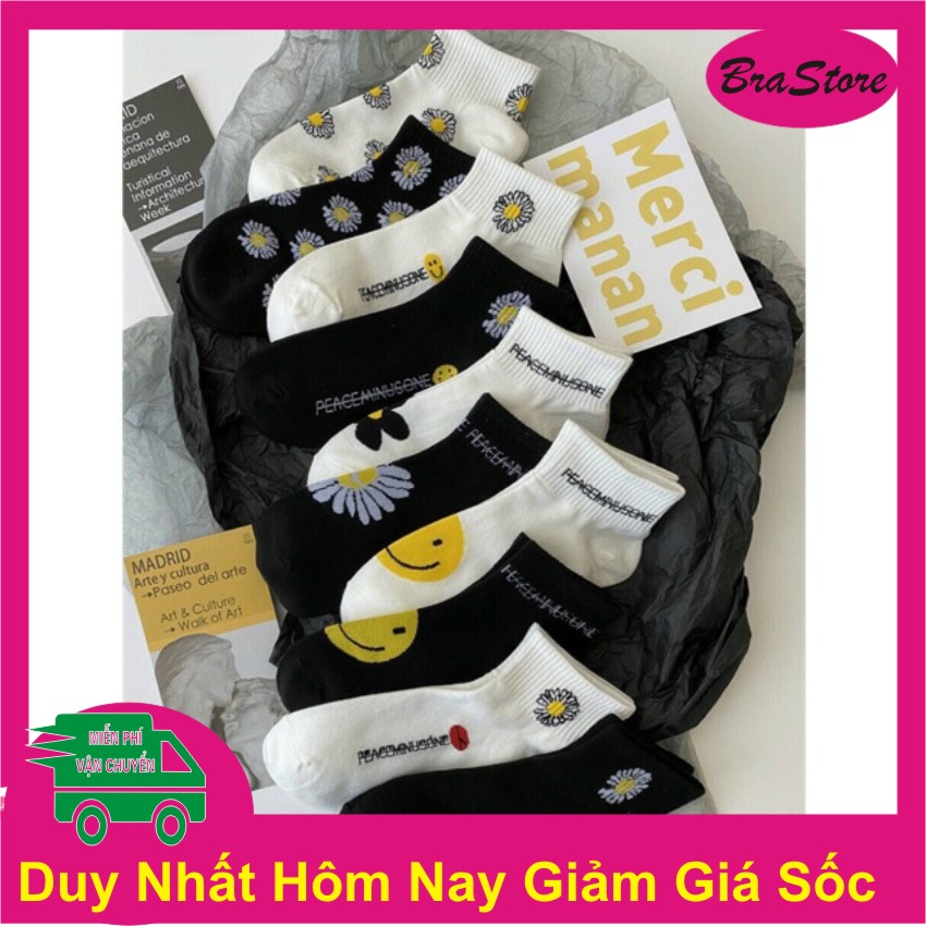 Combo10 đôi tất hoa cúc hot trend được chọn màu