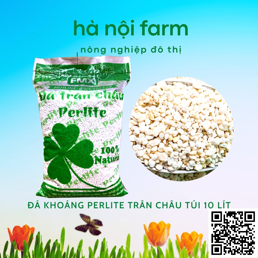 Đá perlite trân châu siêu nhẹ - Túi 10l khoảng 1kg