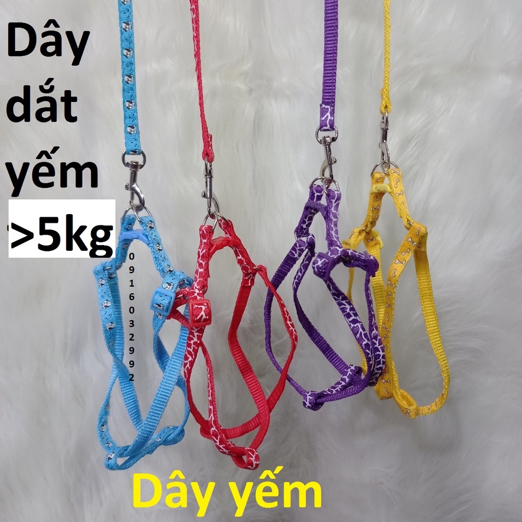 Dây đai yếm chó mèo, Dây dắt chó mèo
