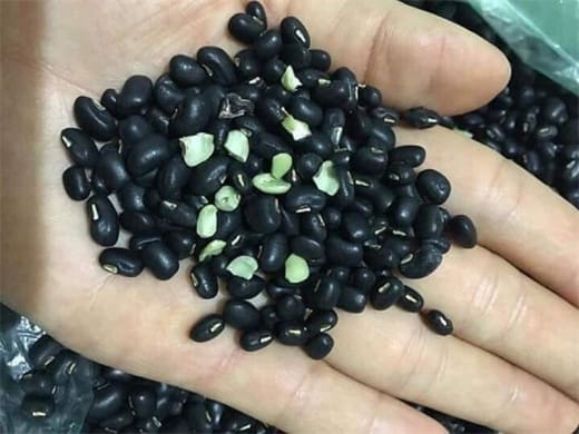 500gr Đậu đen xanh lòng sống, nấu chè, nấu nước uống