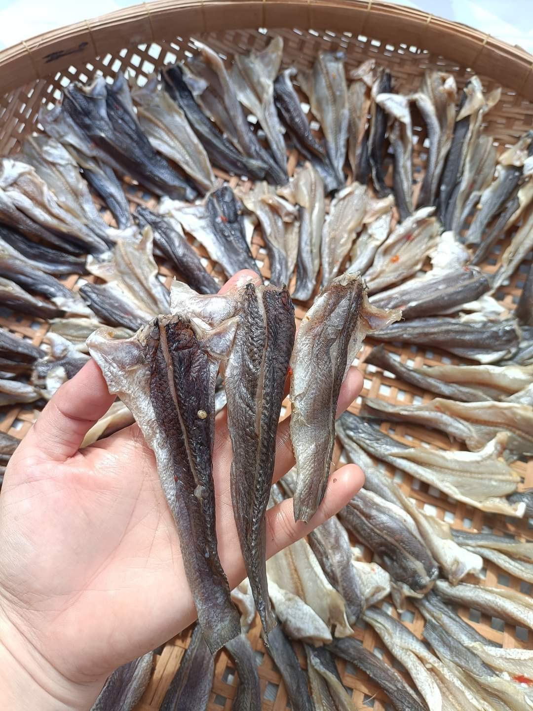 1kg khô cá lóc đồng, hàng thơm ngon loại 1, khô vừa ăn khôn mặn, khô ngon chắc thịt không bỡ, khô cá lóc miền tây, khô cá lóc đồng tháp, cá lóc 3 nắng ,Vựa Khô Chú Chín có thêm phân loại 1 phần ăn thử 500g
