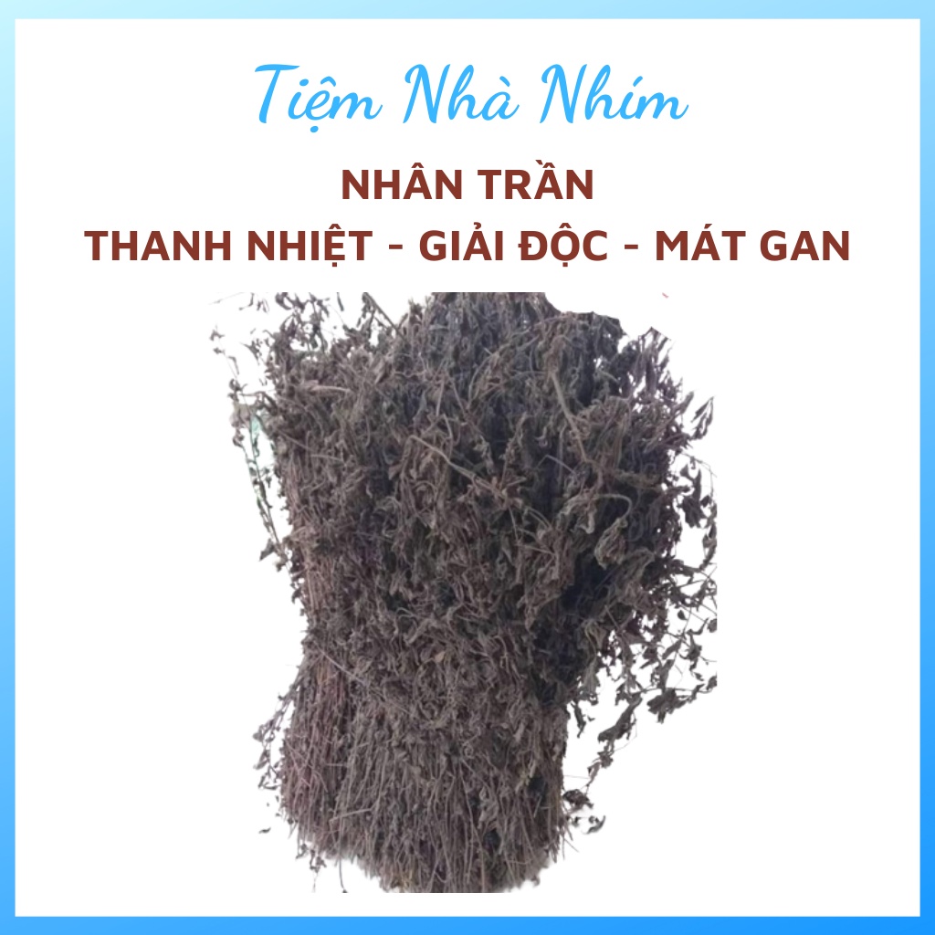 Nhân trần khô thanh nhiệt, giải độc, mát gan hàng loại 1