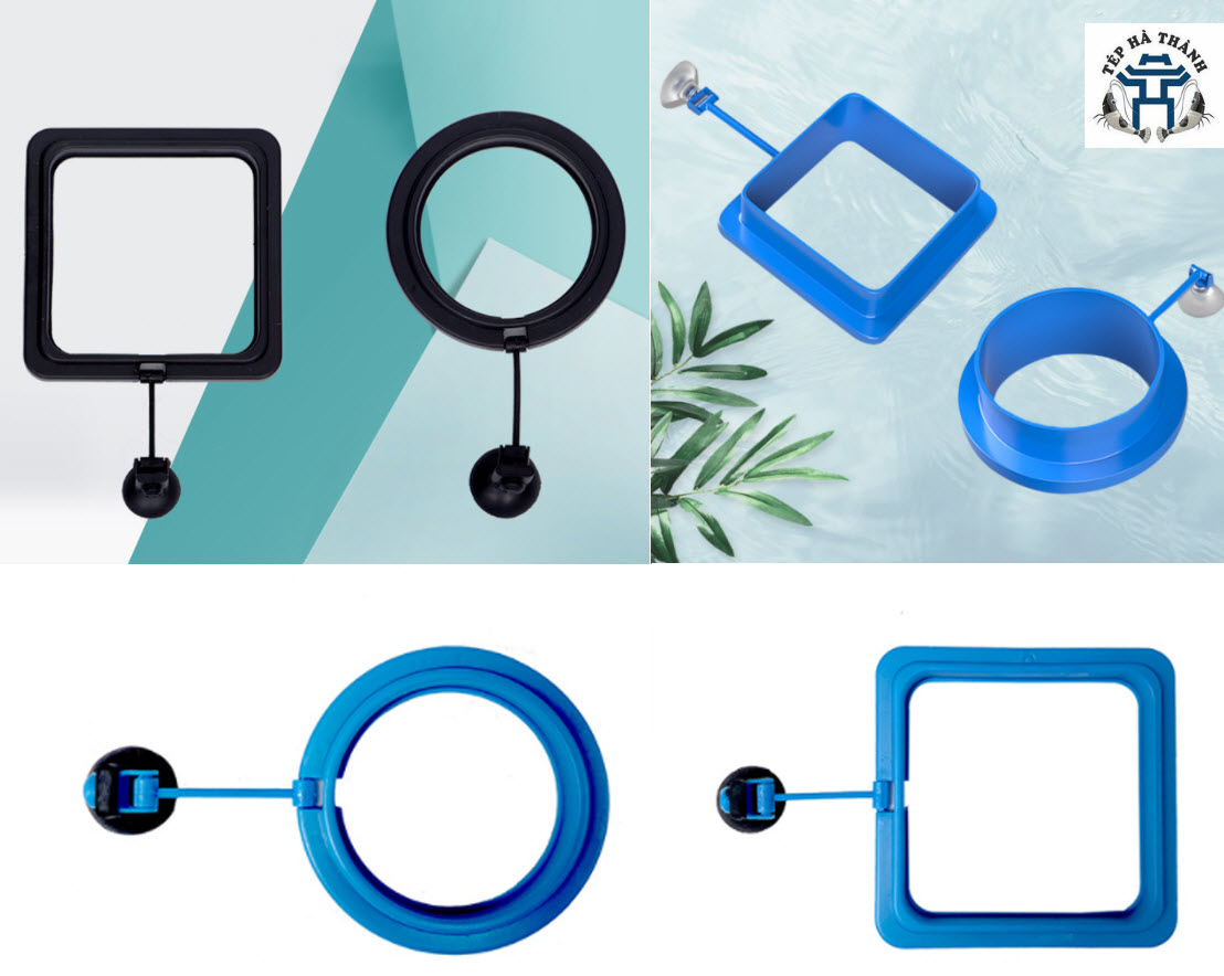 Vòng giữ thức ăn cho cá cảnh - vòng cho cá ăn