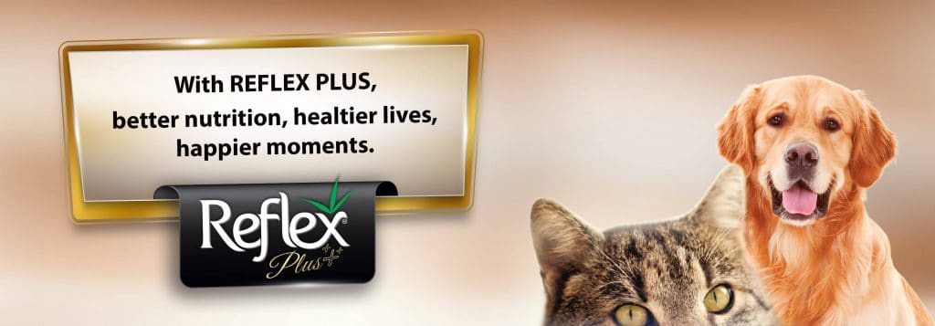 REFLEX PLUS Hạt cho mèo con vị gà | Reflex Plus Kitten Food Chicken REFLEX PLUS Hạt cho mèo con vị gà | Reflex Plus Kitten Food Chicken