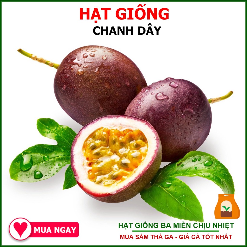 Hạt giống chanh dây f1 sai trái 20 hạt