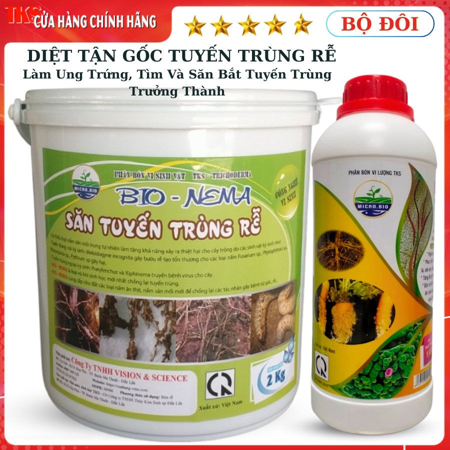 Bộ đôi diệt trừ tận gốc tuyến trùng rễ nema và enzyme chitini