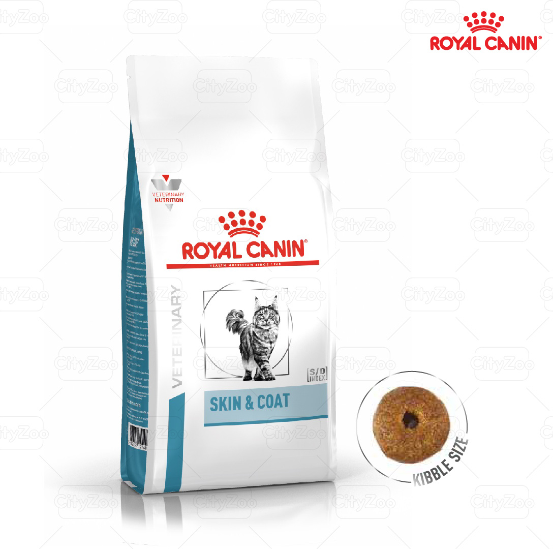 Hạt royal canin skin & coat hỗ trợ mèo viêm da