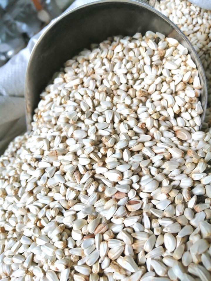 [HCM]Hạt Kham dành cho thú cưng (1kg) - Pet Food Store.