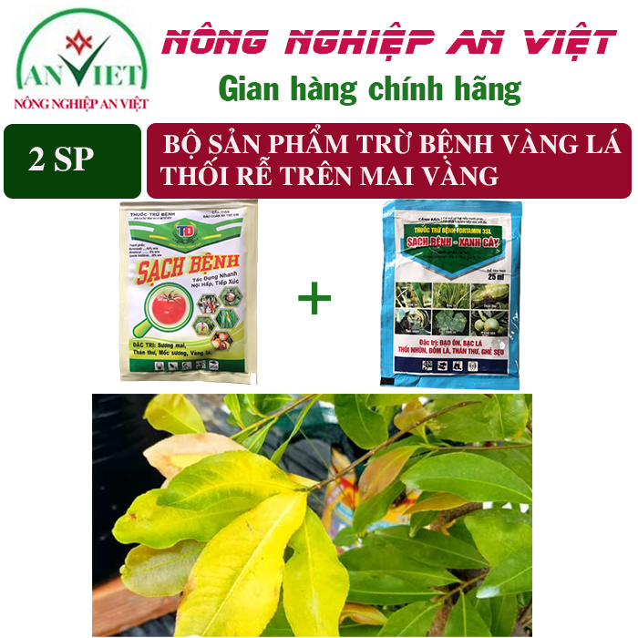 Bộ sản phẩm trừ bệnh Vàng lá thối rễ trên mai vàng Sạch bệnh 30.5g + Fortamin 25ml, thuốc trừ bệnh vàng lá thối rễ trên cây mai vàng