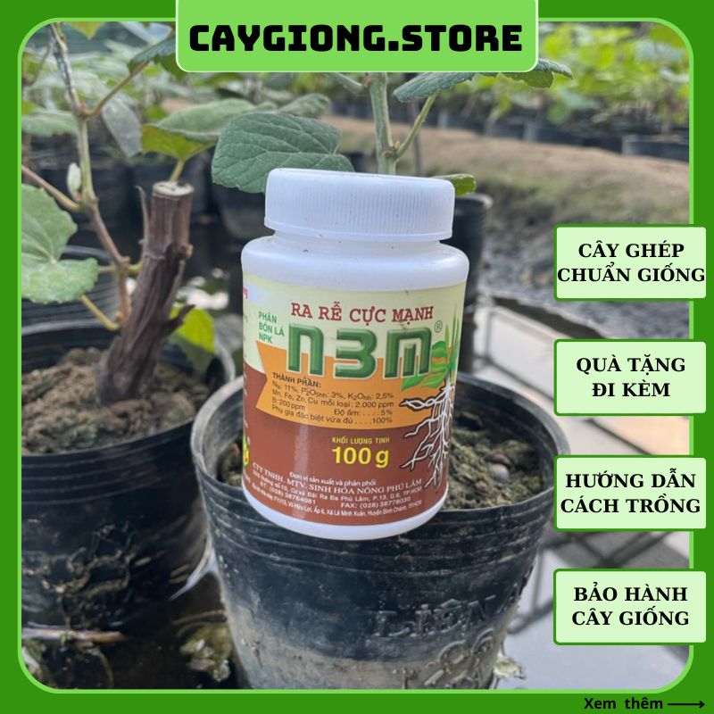 Phân bón lá N3M kích thích ra rễ cực mạnh dùng cho các loại cây trồng 100g
