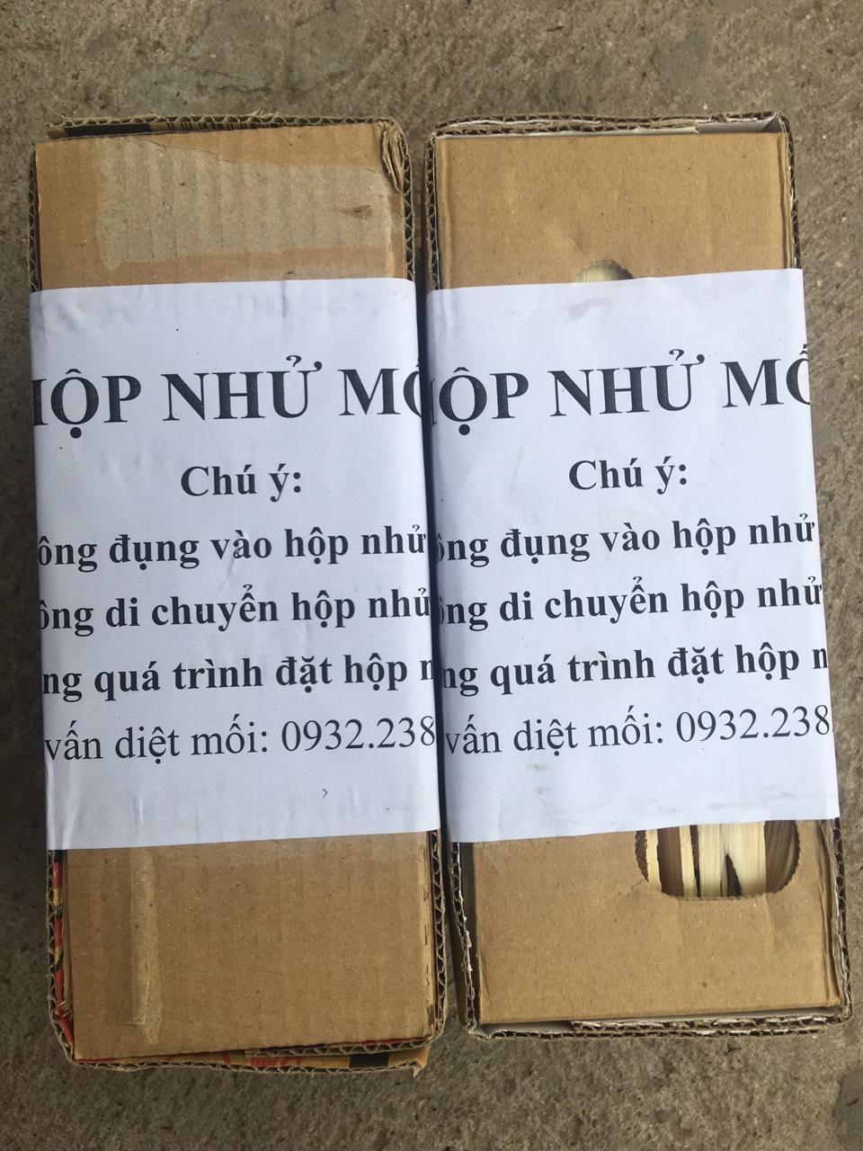 Hộp nhử mối, hộp gỗ nhử mối hiệu quả