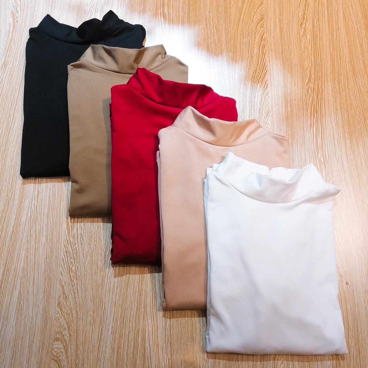 ÁO GIỮ NHIỆT LÓT NỈ CỔ 3P