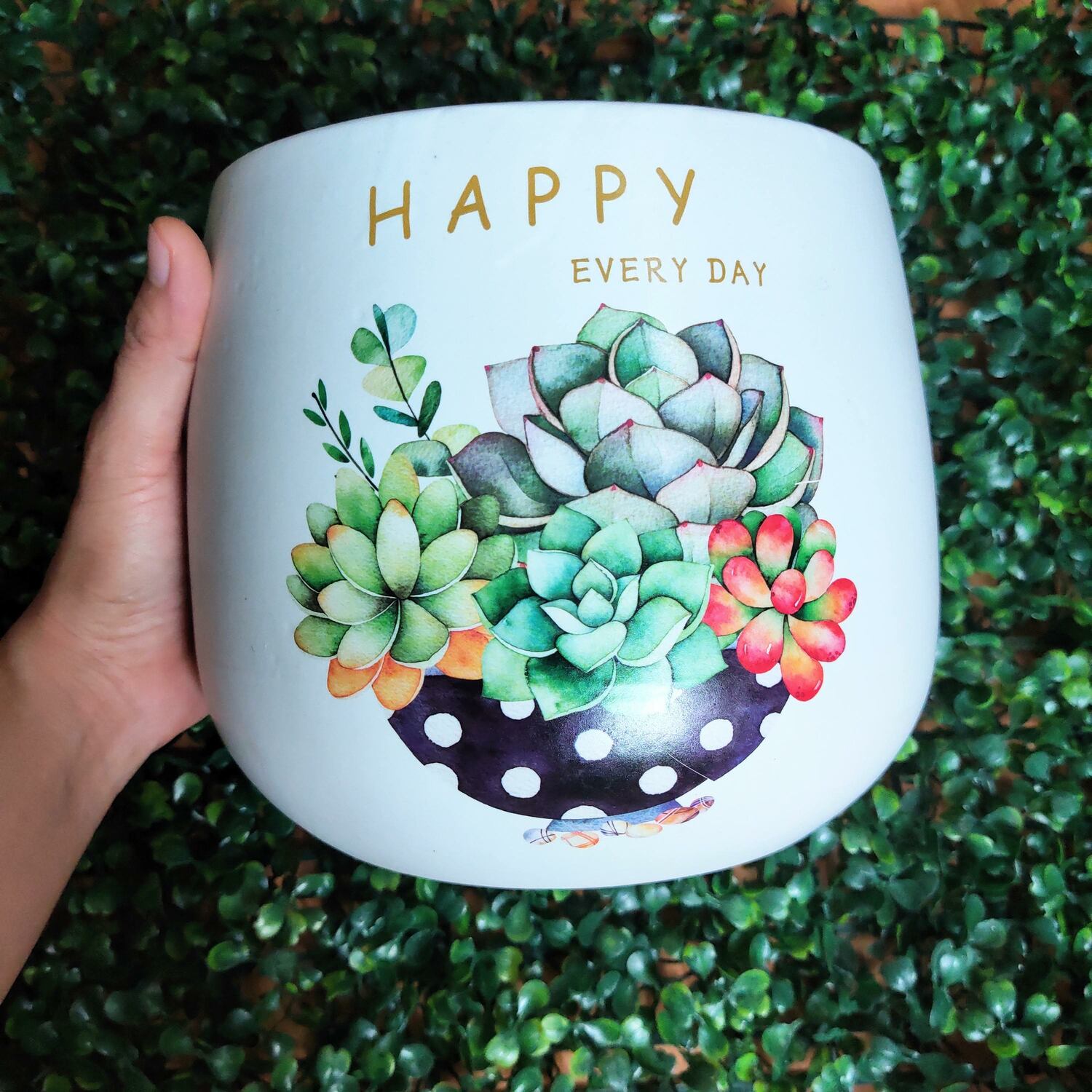 Chậu sứ trồng cây quả lê in hình siêu đẹp, size to S1, chậu sứ trồng cây, cây văn phòng, cây để bàn (hình ngẫu nhiên)