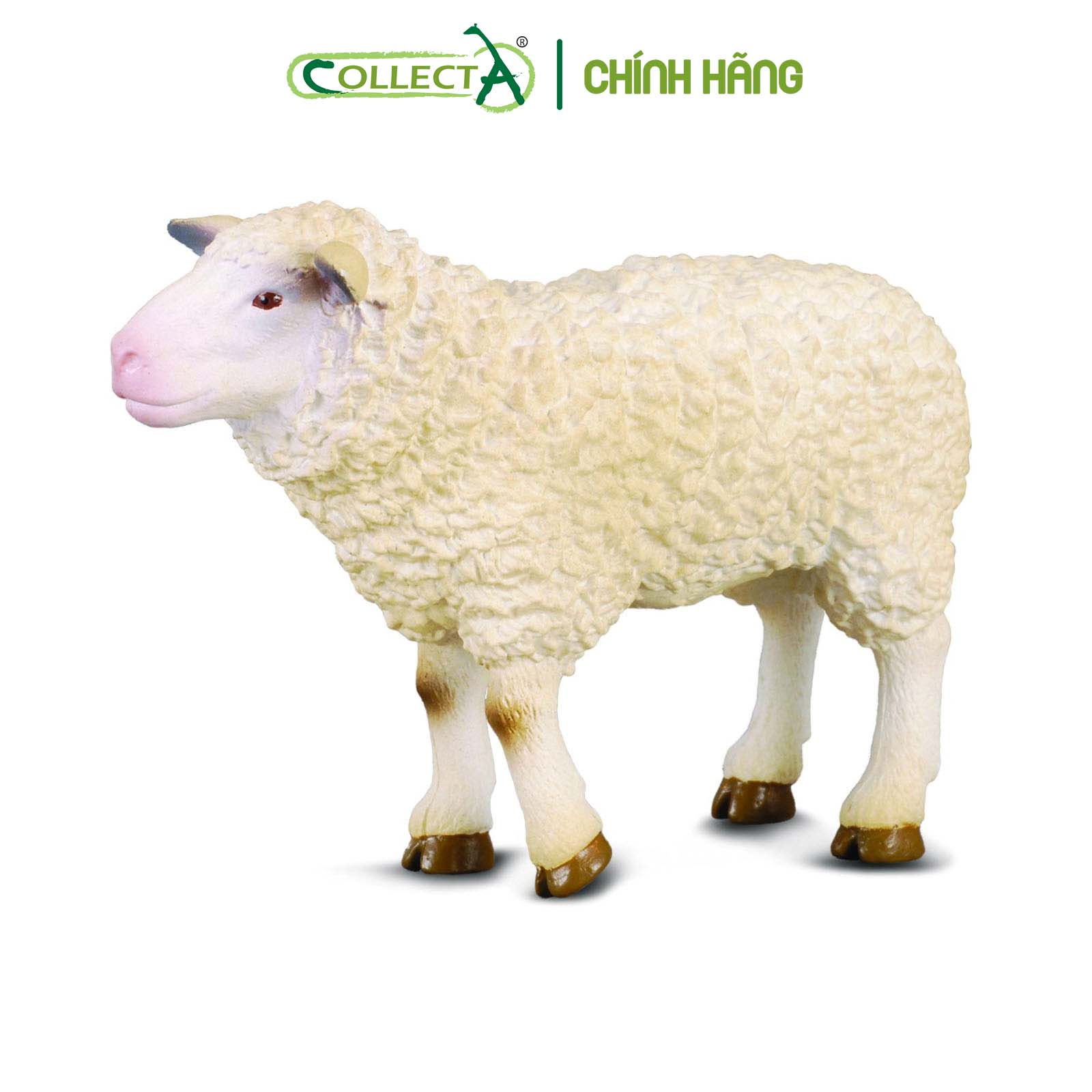 Đồ chơi mô hình động vật CollectA Cừu mẹ - Sheep