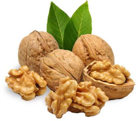 1 kg trái óc chó giấy - mỏng vỏ, hàng mới, bao ngon