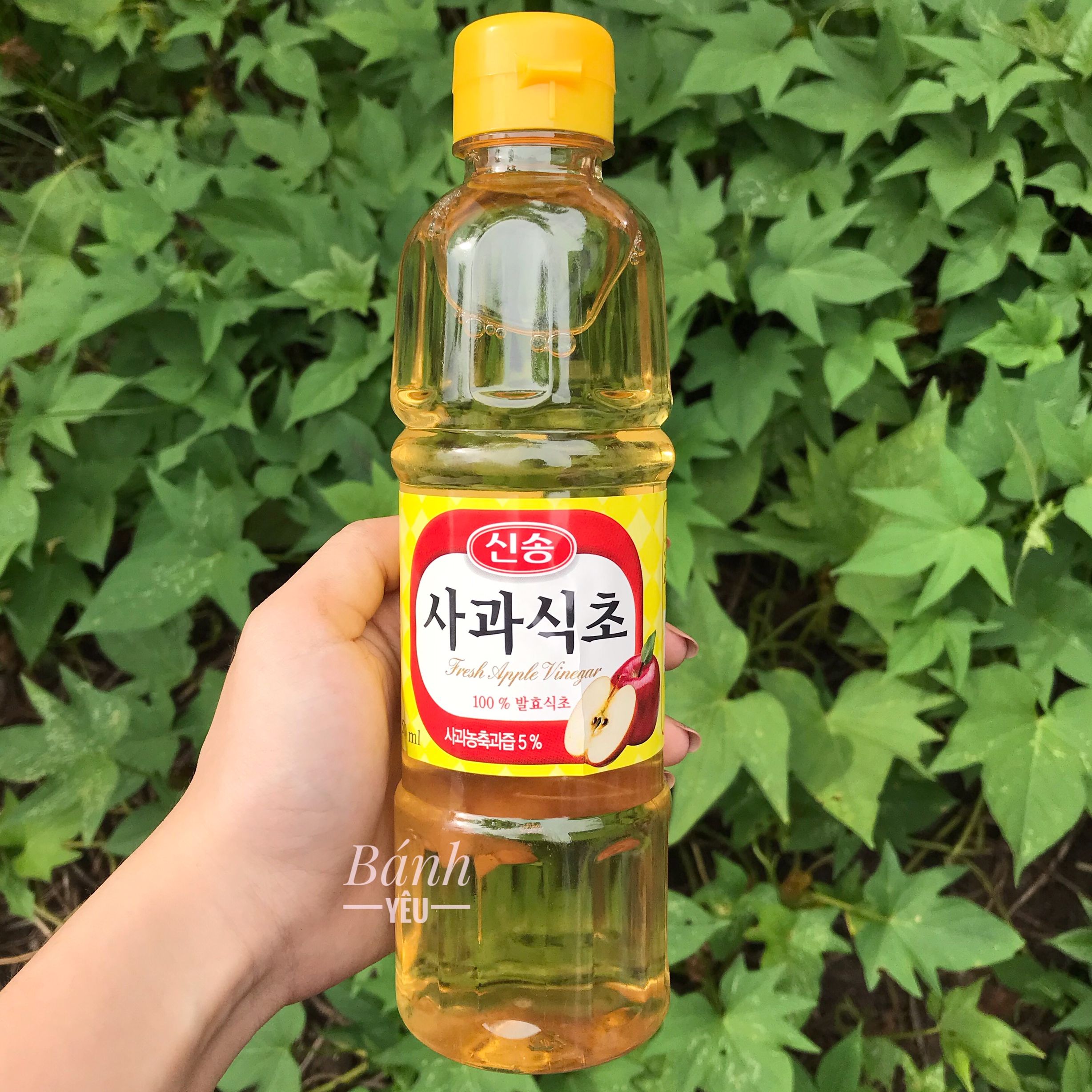 Giấm Táo Hàn Quốc SinSong Vinegar 500ml Giấm Táo Lên Men Tự Nhiên