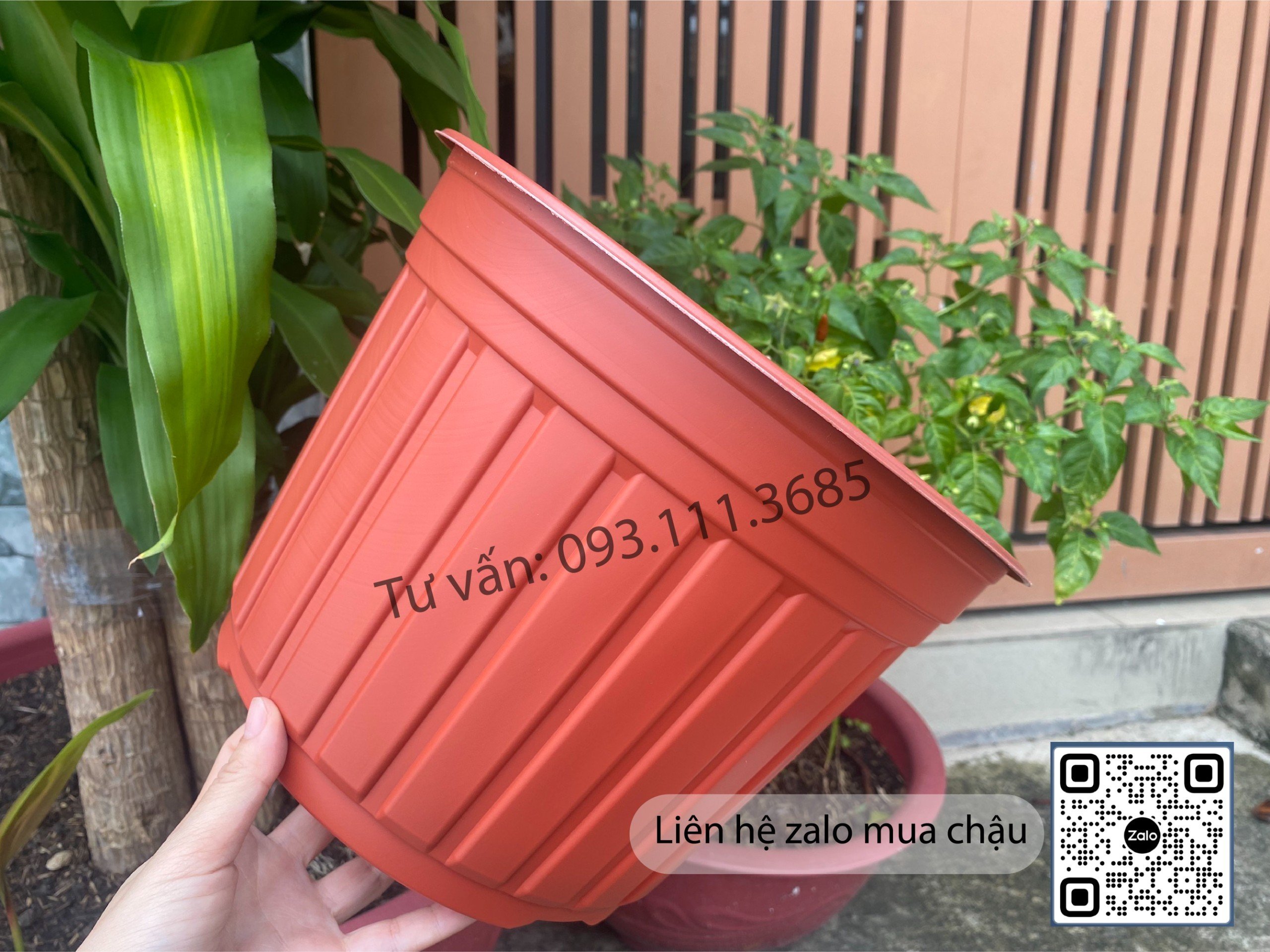 Combo 50chậu nhựa có vành miệng 26cm - Chậu trồng vạn thọ 2-3 gốc, chậu trồng hoa cúc tết