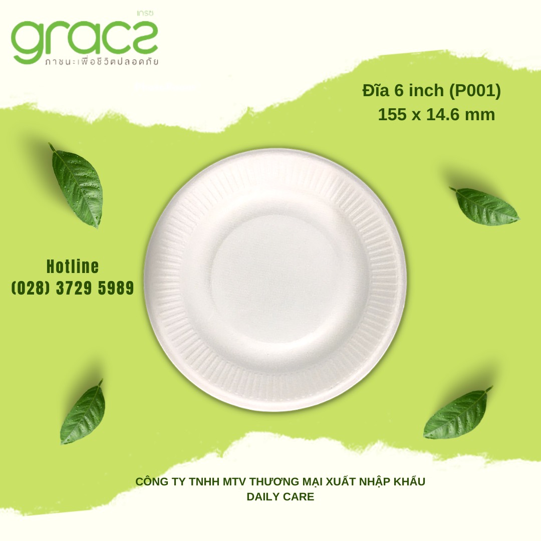 20 đĩa bã mía thái lan 6 inch ~15cm