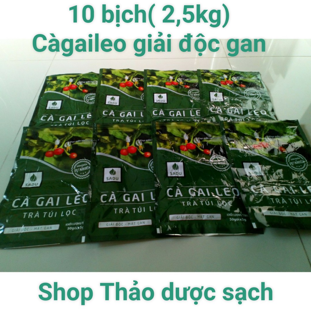 Trà túi lọc cà gai leo Sadu 10 bịch 250g