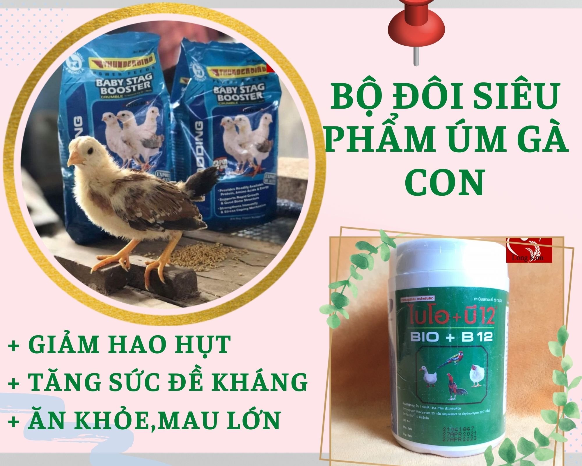 Siêu phẩm úm gà con bio b12 150g + baby stag booster thunderbird 1kg - úm gà, vịt, chim, cút