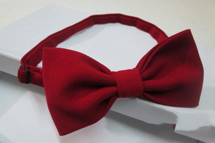 [HCM]Nơ đeo cổ áo somi gile