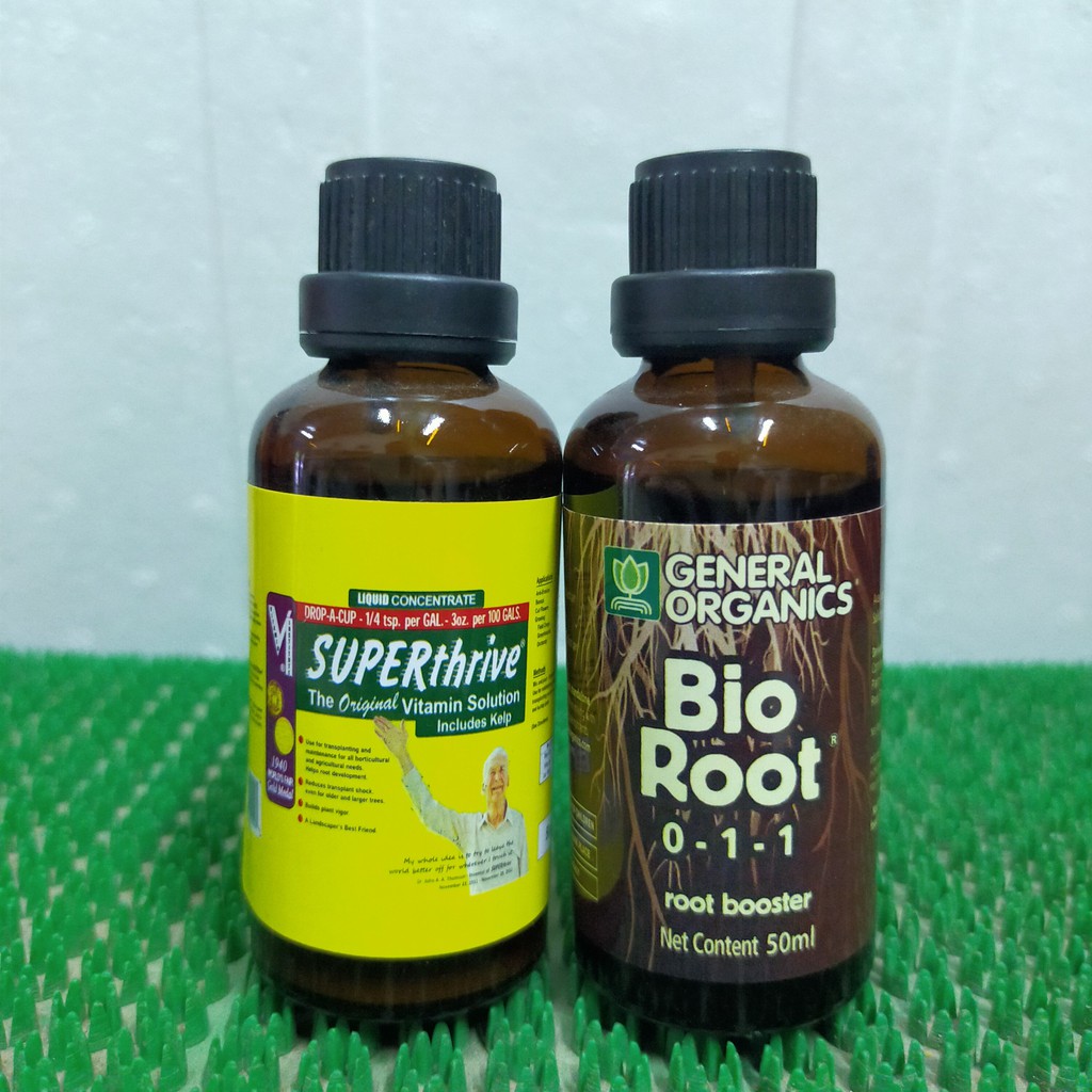 Combo nhập mỹ siêu kích rễ : Bio root và super thrive