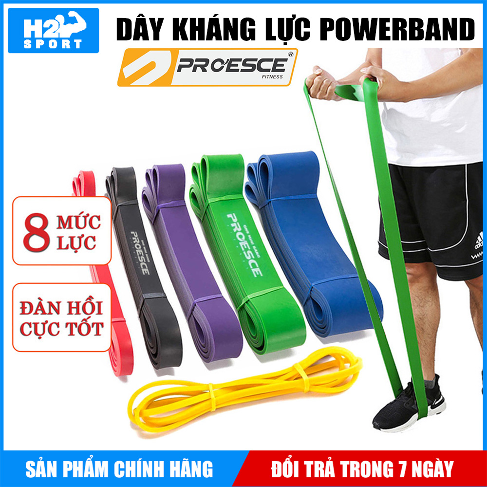 DÂY ĐÀN HỒI KHÁNG LỰC TẬP GYM TOÀN THÂN POWERBAND - CHÍNH HÃNG PROESCE