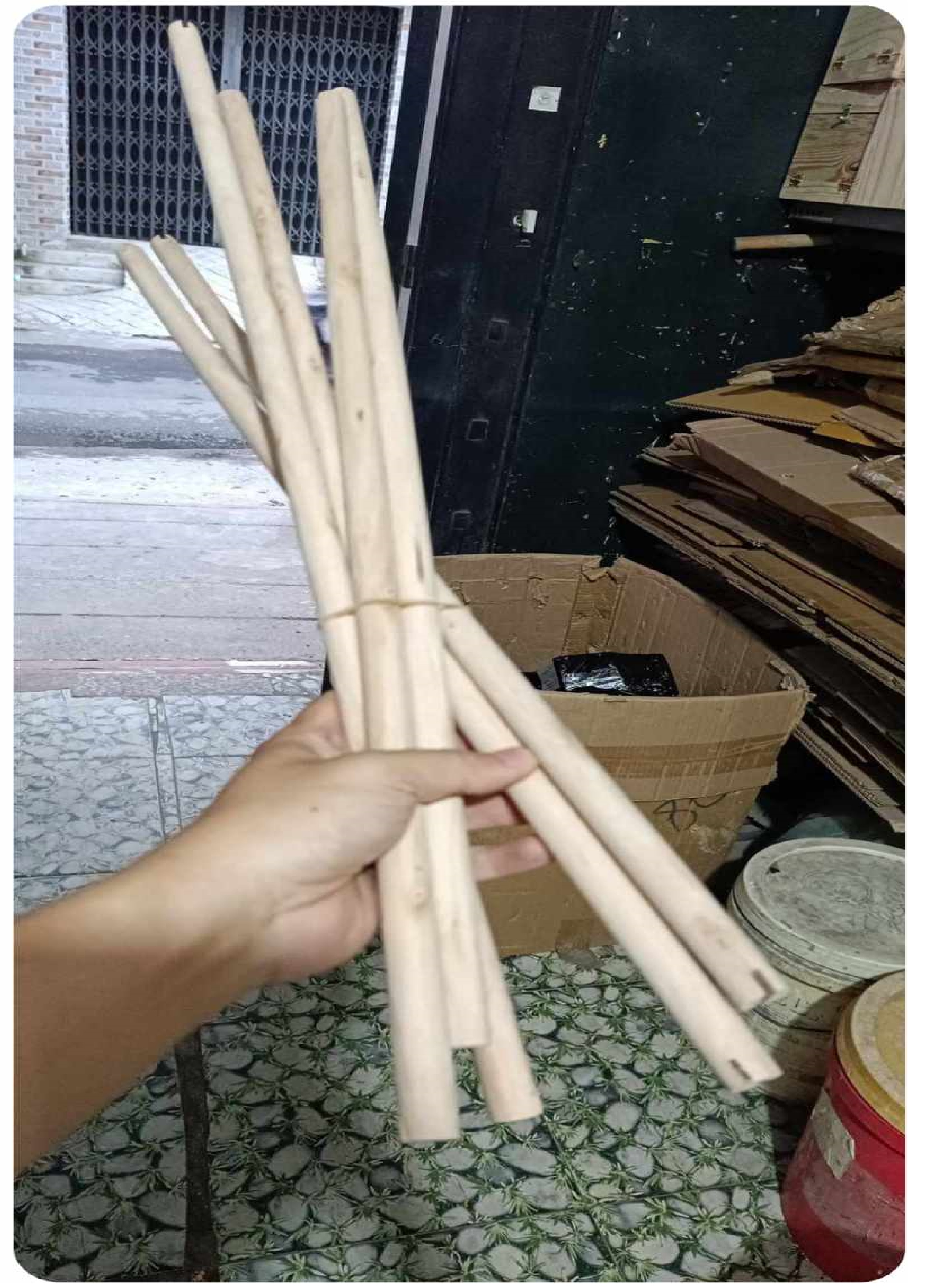 1 cây đậu thường dài 60cm dùng cho vẹt đứng  phù hợp lồng 60*40  