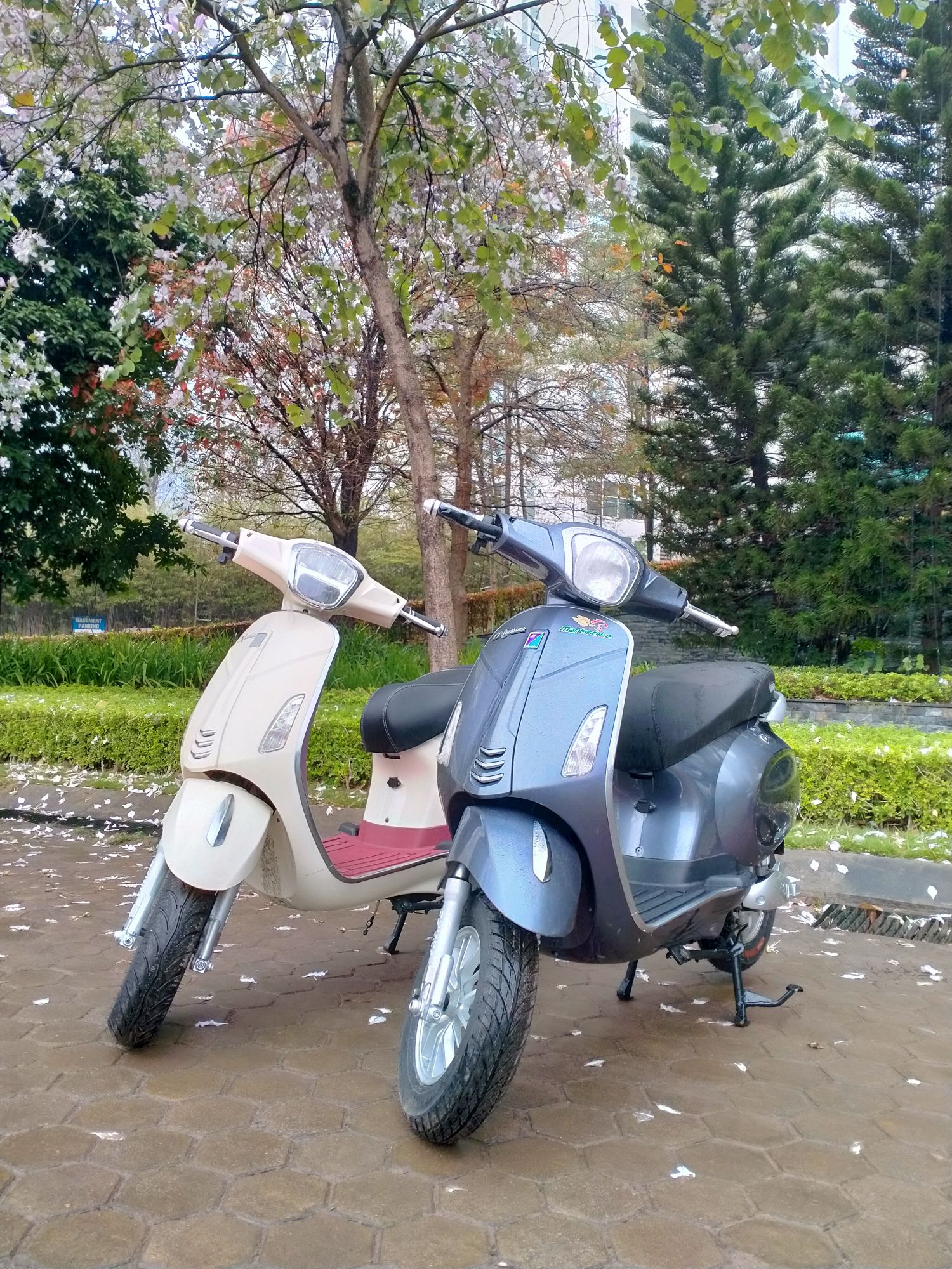 Xe máy điện Vespa mới chính hãng thanh lý