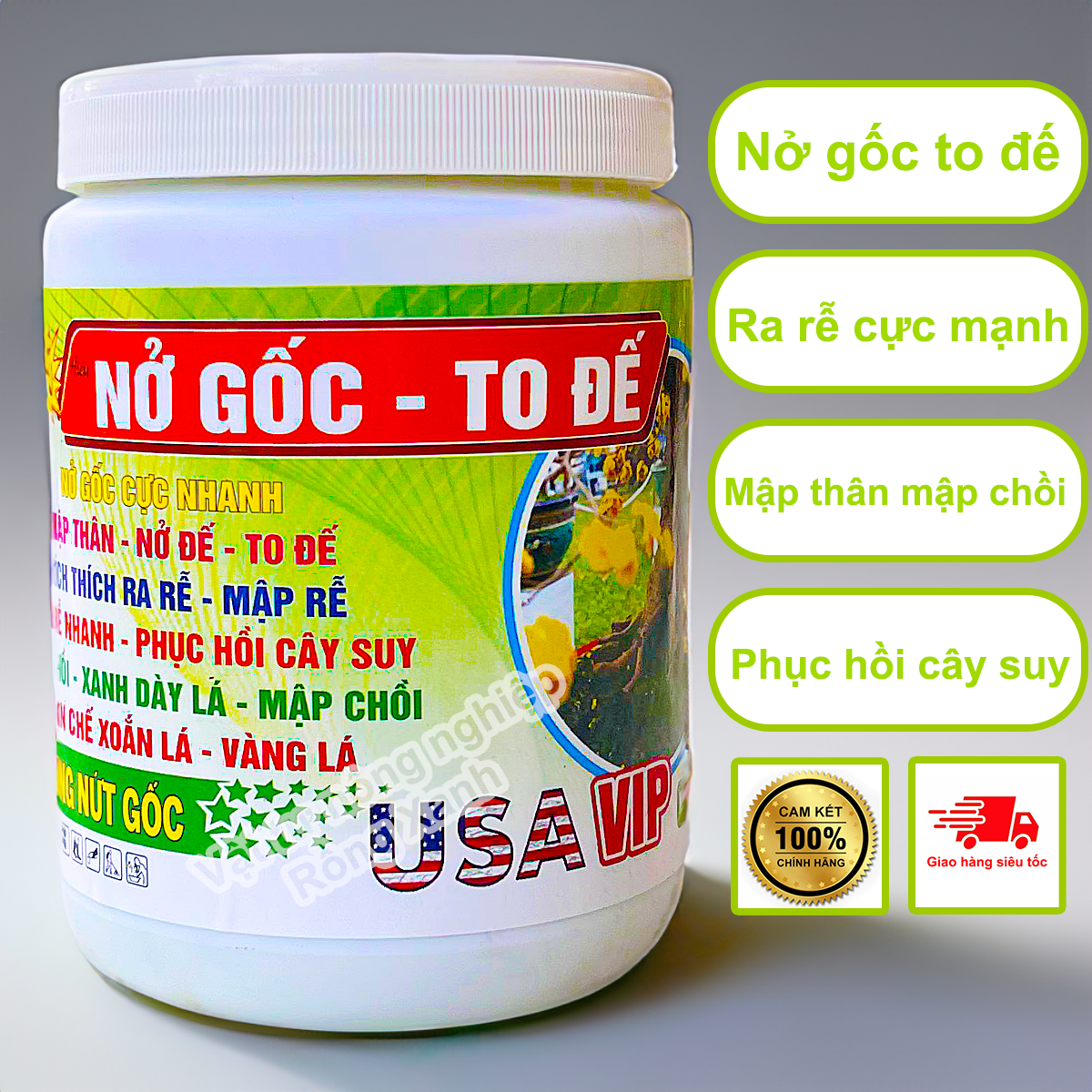 Phân bón nở gốc to đế mập thân xanh dày lá ra rễ cực mạnh mai vàng sứ hoa giấy NGTDKP500
