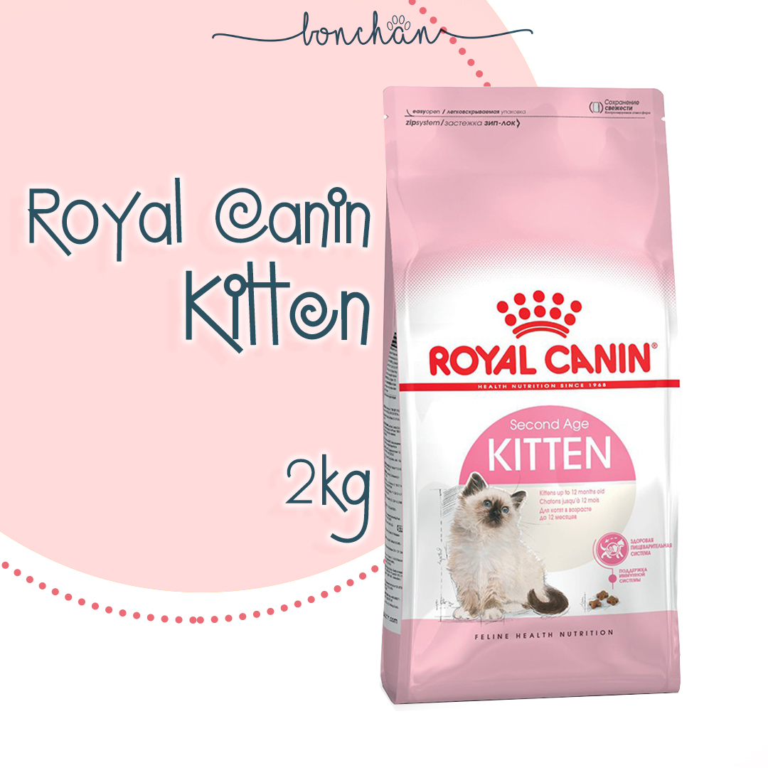 Hạt khô cho mèo con Royal Canin Kitten túi 2kg