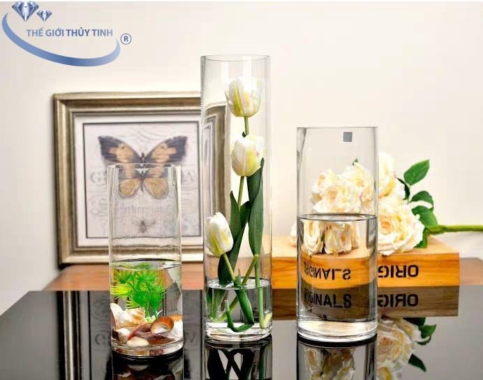 Bình Bông Lọ Hoa Thủy Tinh Trang Trí Dáng Trụ Tròn D15*H30
