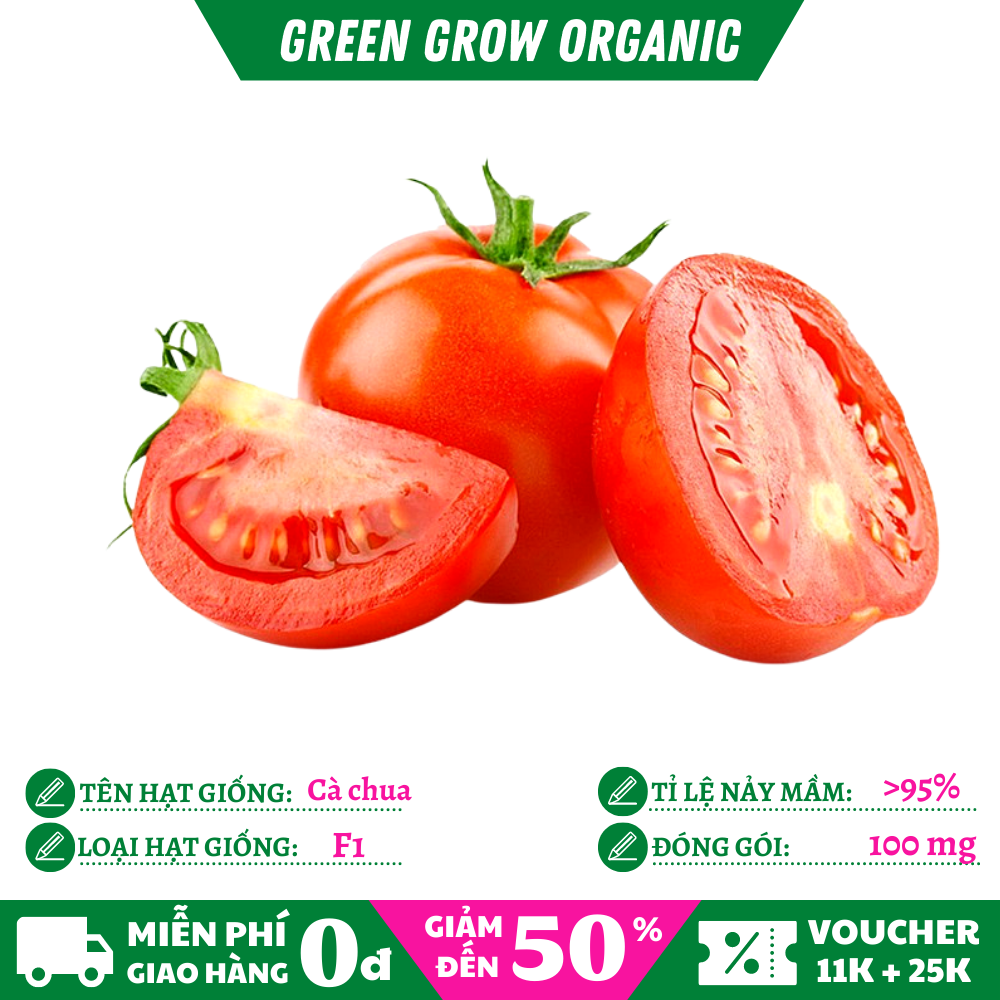 Hạt giống cà chua f1 hữu cơ sai quả ms168 green grow organic