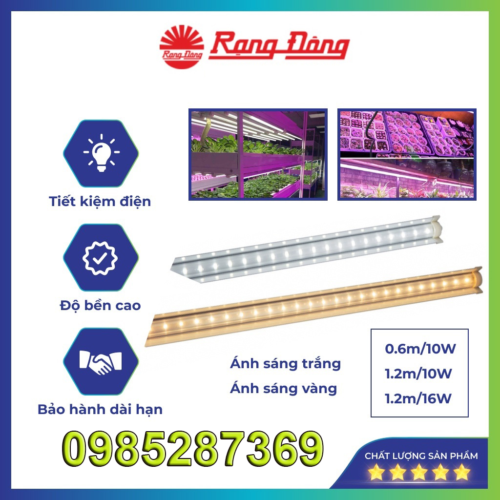 Đèn LED Trồng Rau Rạng Đông, led trồng cây trong nhà, nuôi cấy mô chuyên dụng, kích thích tăng trưởn