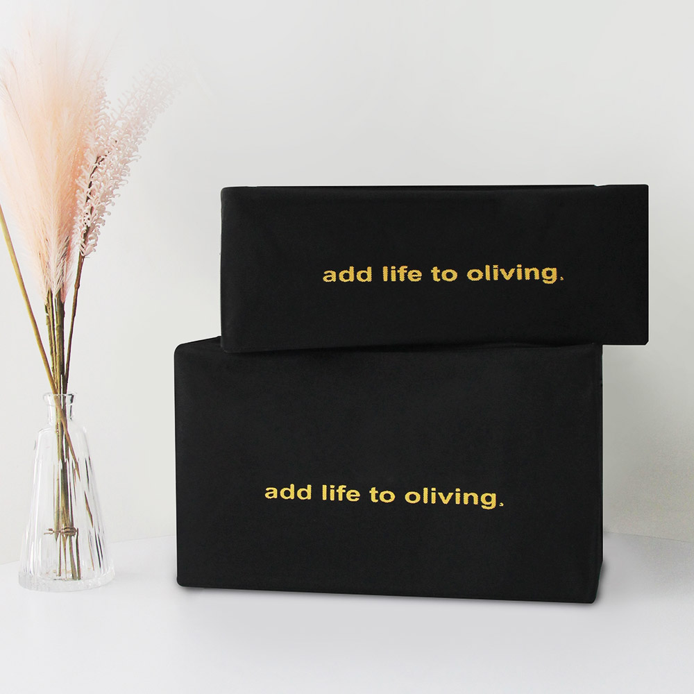 Combo 2 hộp vải lùn gấp gọn- Living box 66L