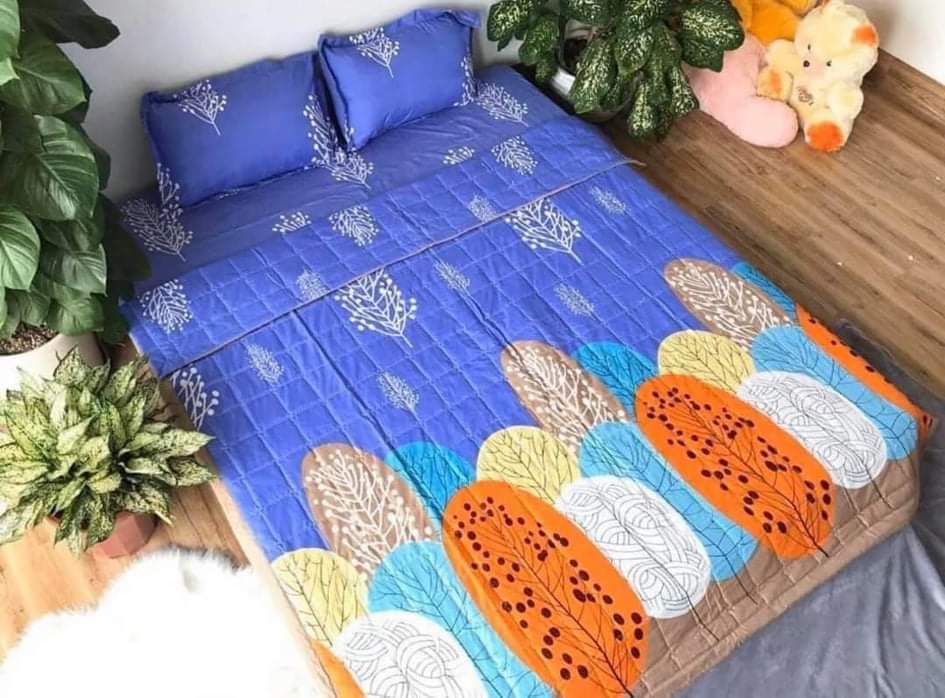 Bộ chăn ga gối hè thu 5 món