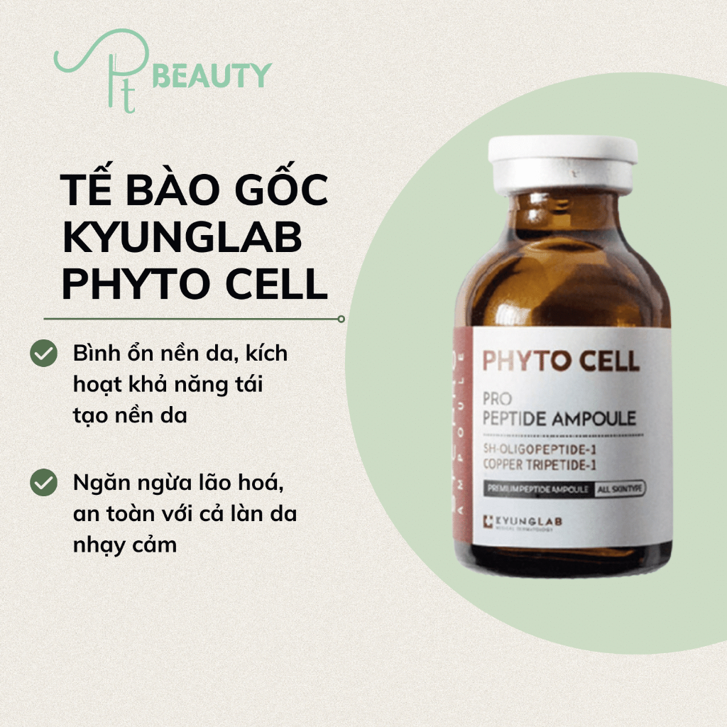 Tế Bào Gốc KyungLab Phyto Cell Pro Peptide Ampoule - 20ml