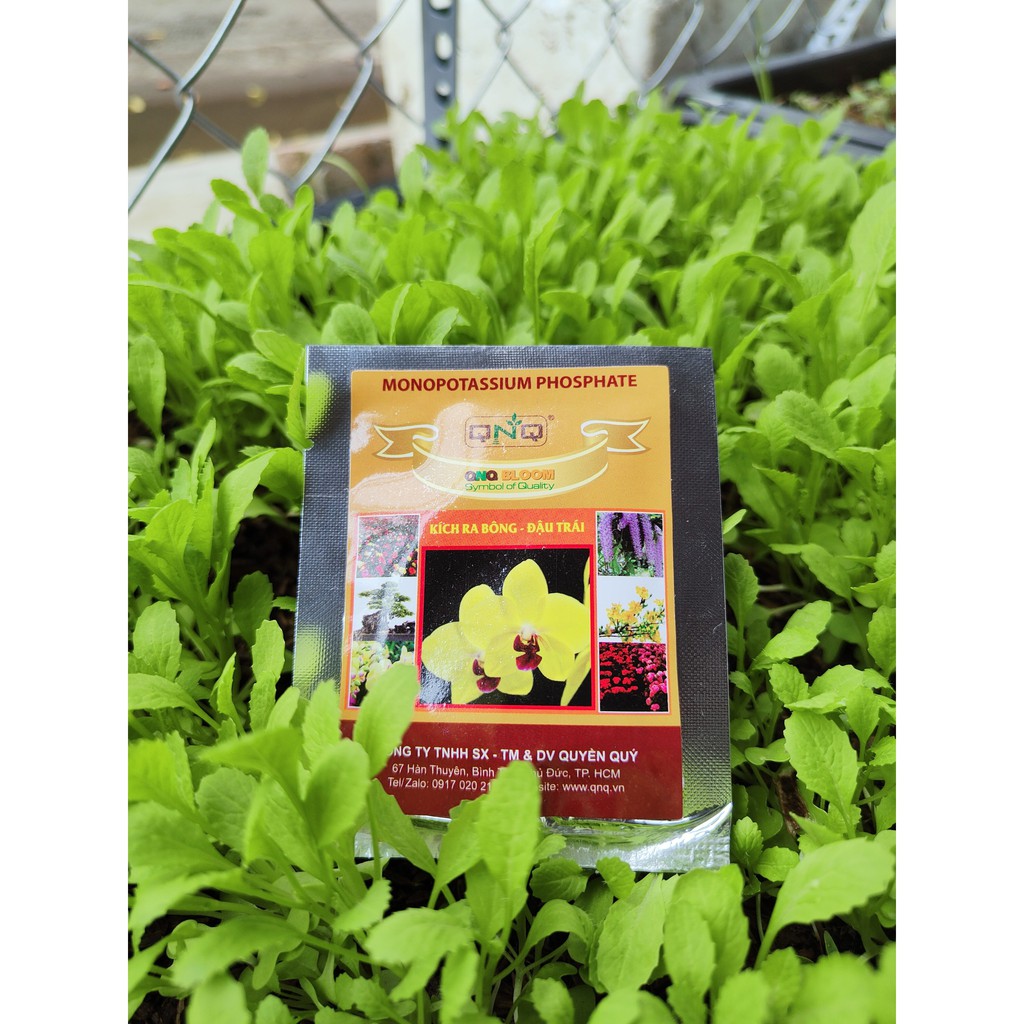 Kích ra bông - đậu trái -10g Dùng cho hoa lan, hoa mai, dâu tây, cây kiểng, cây ăn trái