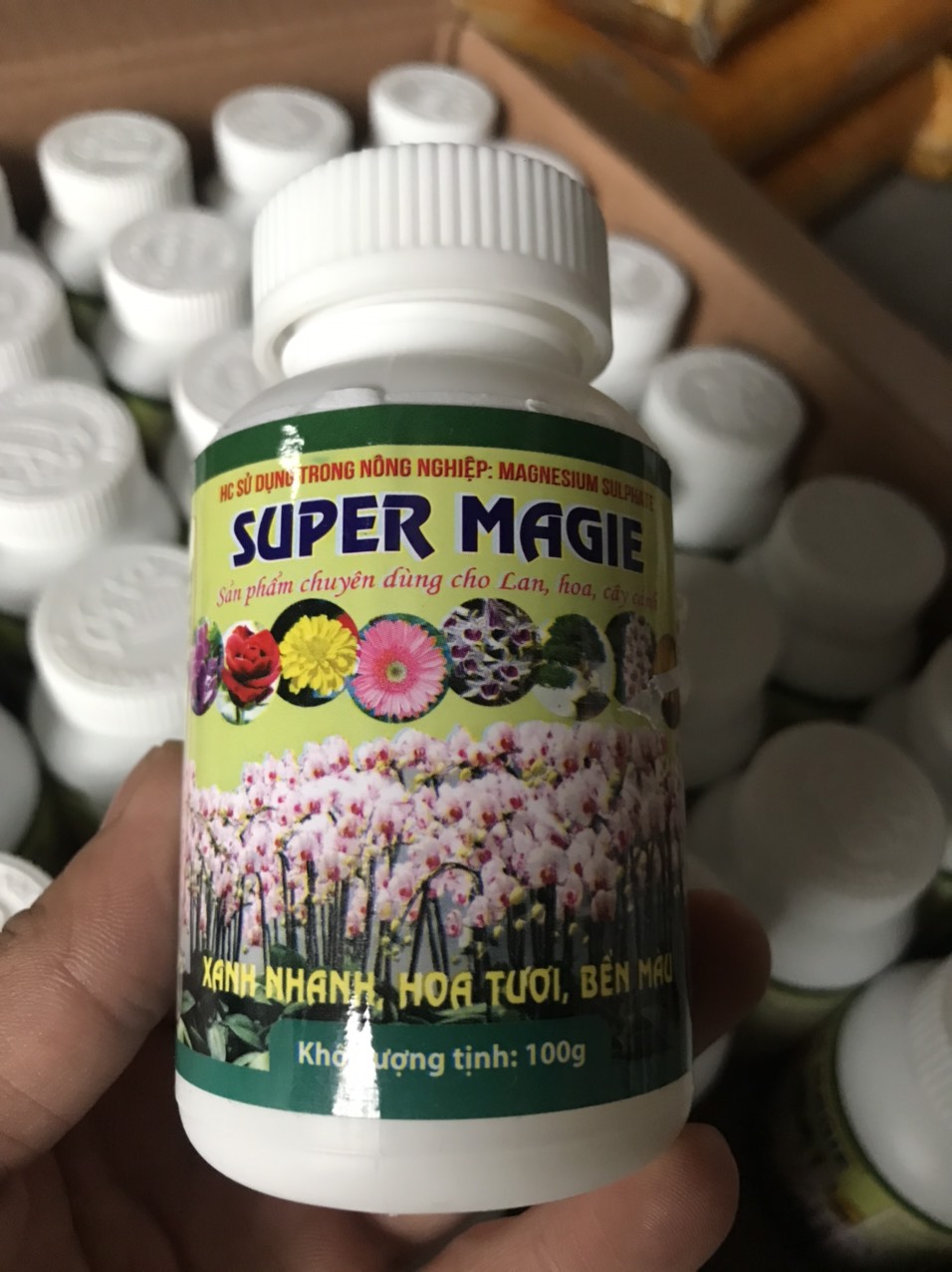 Phân bón Super Magie - Kích thích Rễ - Lá - Lộc (Lọ 100gr)