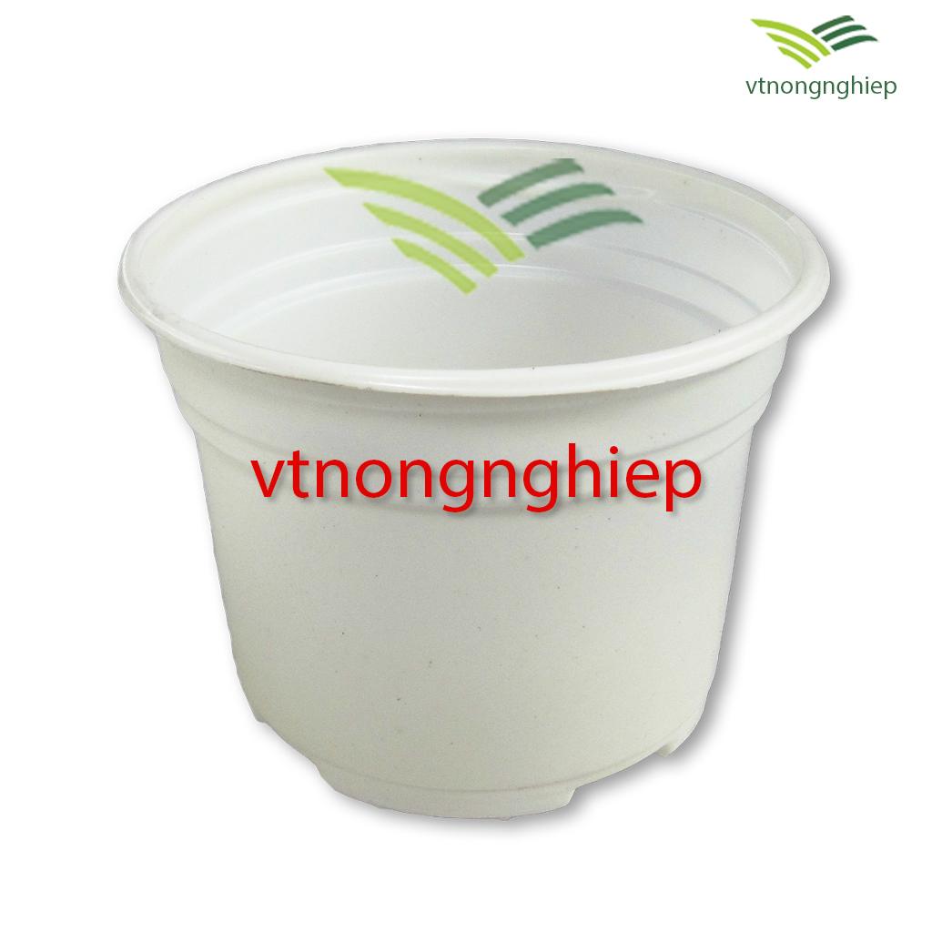 50 chậu nhựa trồng hoa CH-10.5x8 cm