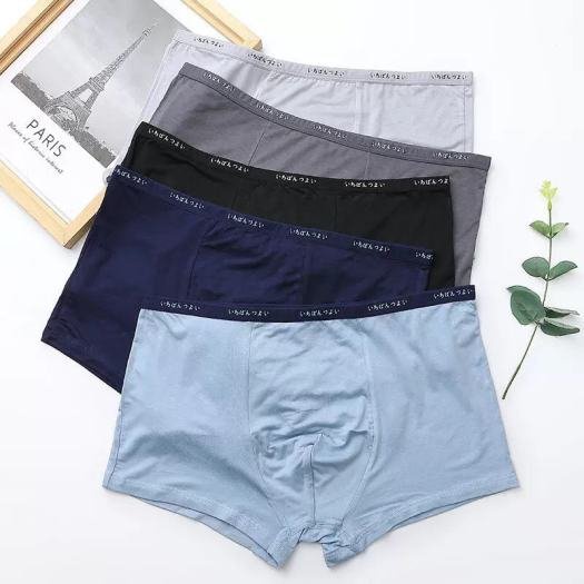 Quần sịp đùi nam cotton, quần lót nam, quần sịp nam - 1q mj. đùi cotton