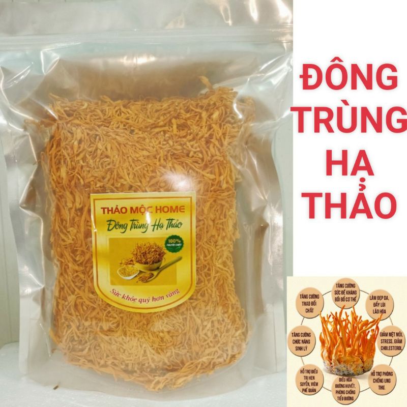 500g/1kg đông trùng hạ thảo sấy bán thăng hoa việt nam có kiểm định