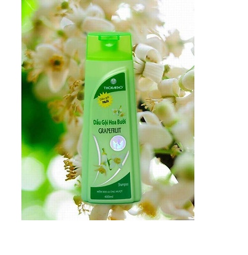 Dầu Gội Và Xả Hoa Bưởi Thorakao Dầu Gội Bưởi Thorakao Hỗ Trợ Cải Thiện Rụng Tóc Ngăn Gầu Cho Tóc Dầy Và Óng Mượt 400ML