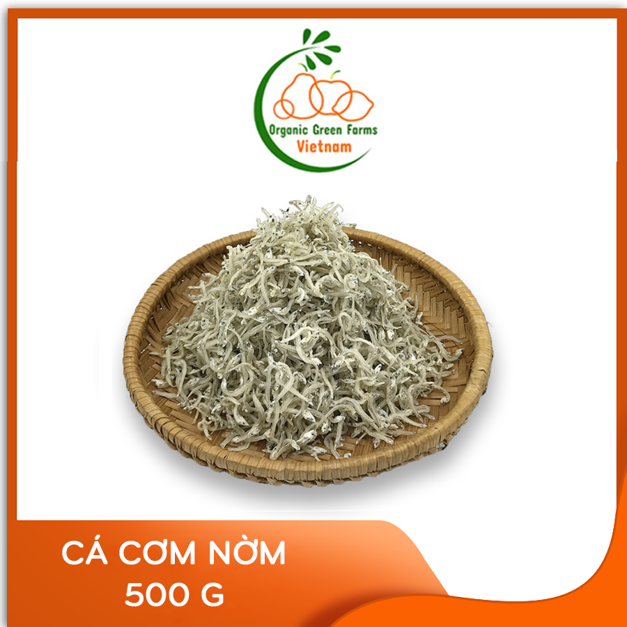 - cá cơm mờm -