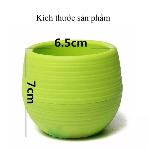 Chậu Nhựa Mini Tự Dưỡng Trồng Cây Để Bàn Thông Minh Thân Rời Trữ Nước 65cm x 7cm Nhiều Màu Giao Hàng Ngẫu Nhiên
