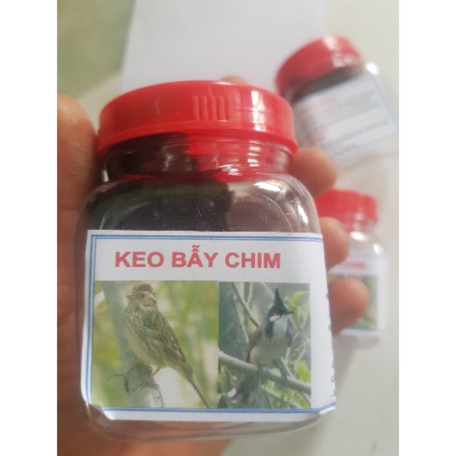 Keo bẫy chim sẻ, khuyên , chào mào, ri  (cam kết bán hàng chất lượng có bảo hành)