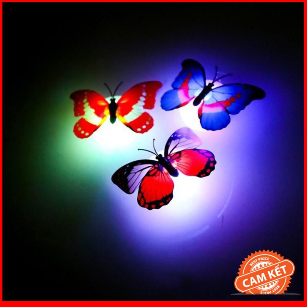 [Hot] Combo 3 Đèn Led Con Bướm xinh xắn dán tường - thay đổi màu sắc bếp, hành lang, phòng tắm, phòng ngủ, phòng khách…